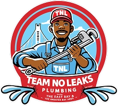 Team No Leaks Plumbing