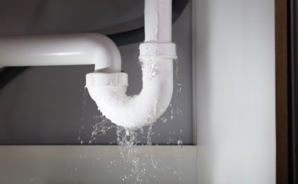 Team No Leaks Plumbing
